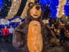 DSC_9861