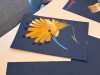 IMG-20240918-WA0040
