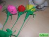 sam_0200