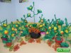 sam_0347
