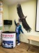 IMG-20231004-WA0004