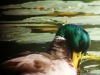 IMG-20231004-WA0010