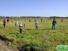 dsc0422