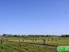 dsc0448