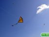 dsc0460