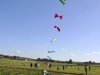 dsc0461
