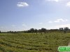 dsc0464