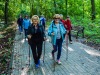 Zdjęcie przedstawia seniorów podczas marszu nordic walking w Lasku Miejskim.