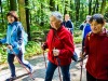 Zdjęcie przedstawia seniorów podczas marszu nordic walking w Lasku Miejskim.