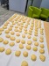 IMG-20240219-WA0015