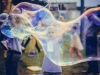 pp_small-32