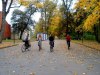 sam_0519