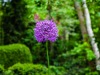 DSC_0092-001
